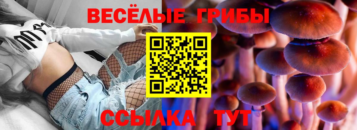 Симферополь  Псилоцибиновые грибы MAGIC MUSHROOMS  Вход с VPN 